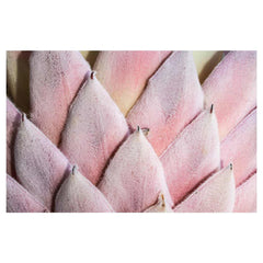 Floral deep pink King Protea bathmat