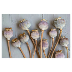 Natural Purple Giant Poppy Seeds on Grey Bathmat