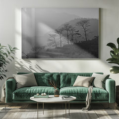 Trees In the Mountains by Photolovers