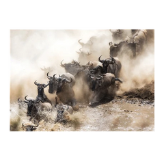Wall Art Print - Wildebeest Herd