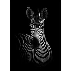 Wall Art Print - The zebra