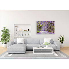 Wall Art Canvas - Jacaranda in Bloom