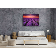 Wall Art Print - Lavender Field at Sunset