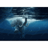 Wall Art Print - Elephant Swimming