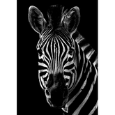 Wall Art Print - Majestic Stripes