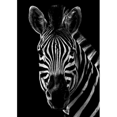 Wall Art Print - Majestic Stripes
