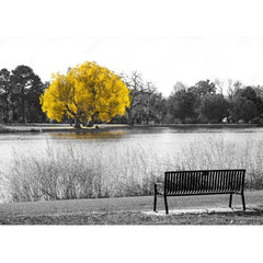 Wall Art Print - Yellow Tree in Black and White Landscape