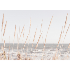 Canvas Wall Art - Beach Vass 2