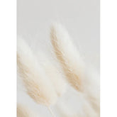 Wall Art Print - Bunny tail grass