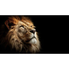 Wall Art Print - The King Lion