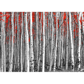 Wall Art Print - Red leaves in a black and white forest