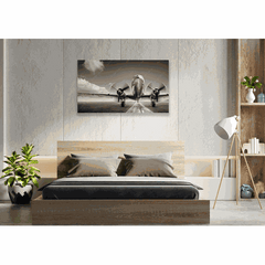 Wall Art Print - DC3