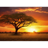 Wall Art Print - Sunset on the African Plains with Acacia Tree