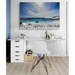 Wall Art Print - The penguins at Boulder's beach
