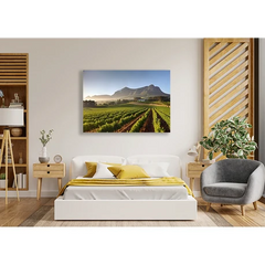 Wall Art Print- Vineyard Tour in Cape Town