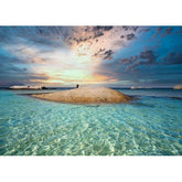 Wall Art Print- Striking Scene Of Cape Penguins
