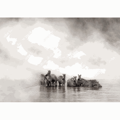 Wall Art Print- Zebra Herd By The River