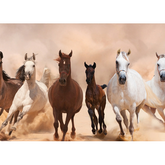 Wall Art Print - A Herd of Horses Running On The Sand Storm