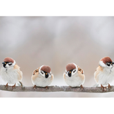 Wall Art Print - Little Birds Sit On A Branch and Chirp