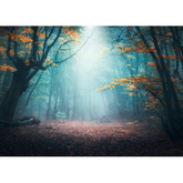Wall Art Print - Mystical Forest