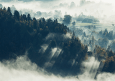 Wall Art Print - Mountain Top Forest