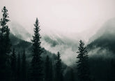 Wall Art Print - Misty Mountain Valley