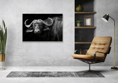 Wall Art Print - Buffalo