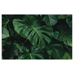 Jungle vibes bathmat