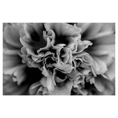Floral black and white peony bathmat