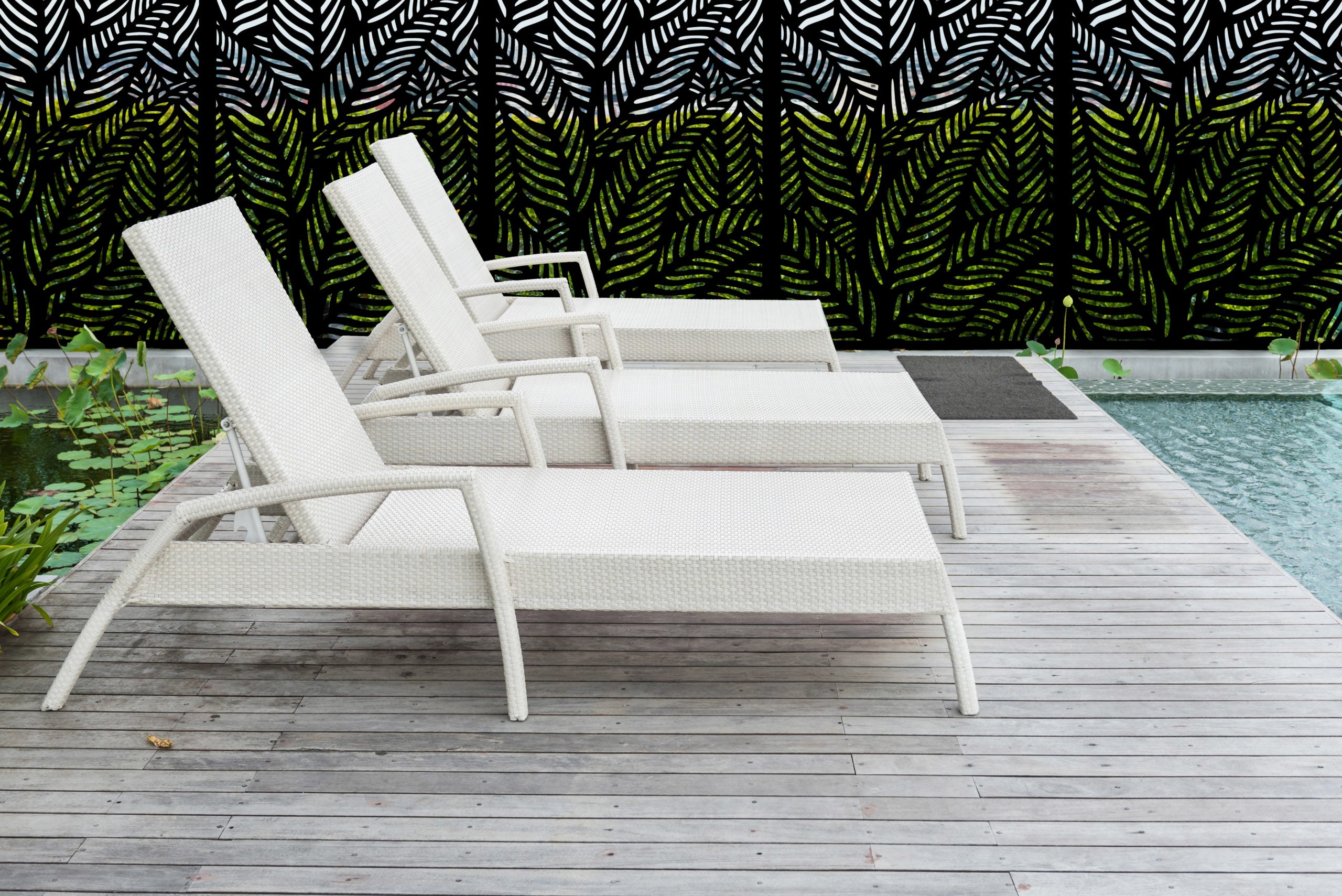 Design Flow Ferns Decorative Screen