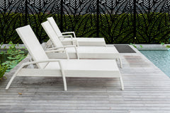 Design Flow Ferns Decorative Screen