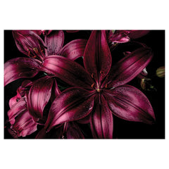 Magenta Lily bathmat