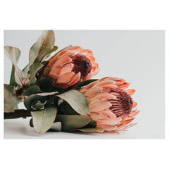 Protea blush bathmat