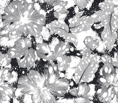 Mono Chic Floral Wall Paper 2