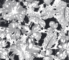 Mono Chic Floral Wall Paper 4