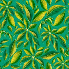 Baobac Pattern Green