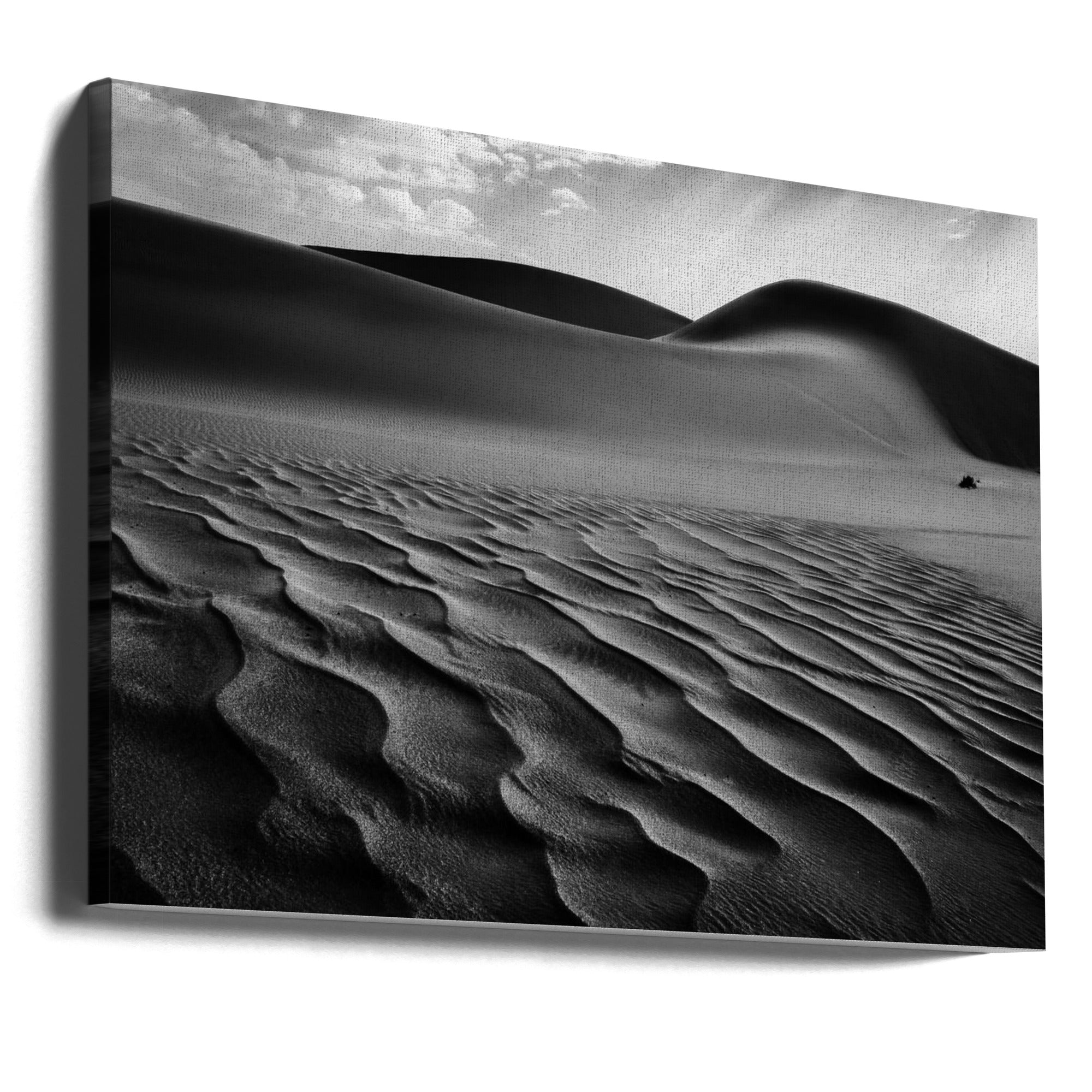 The Living Dunes, Namibia I by Neville Jones