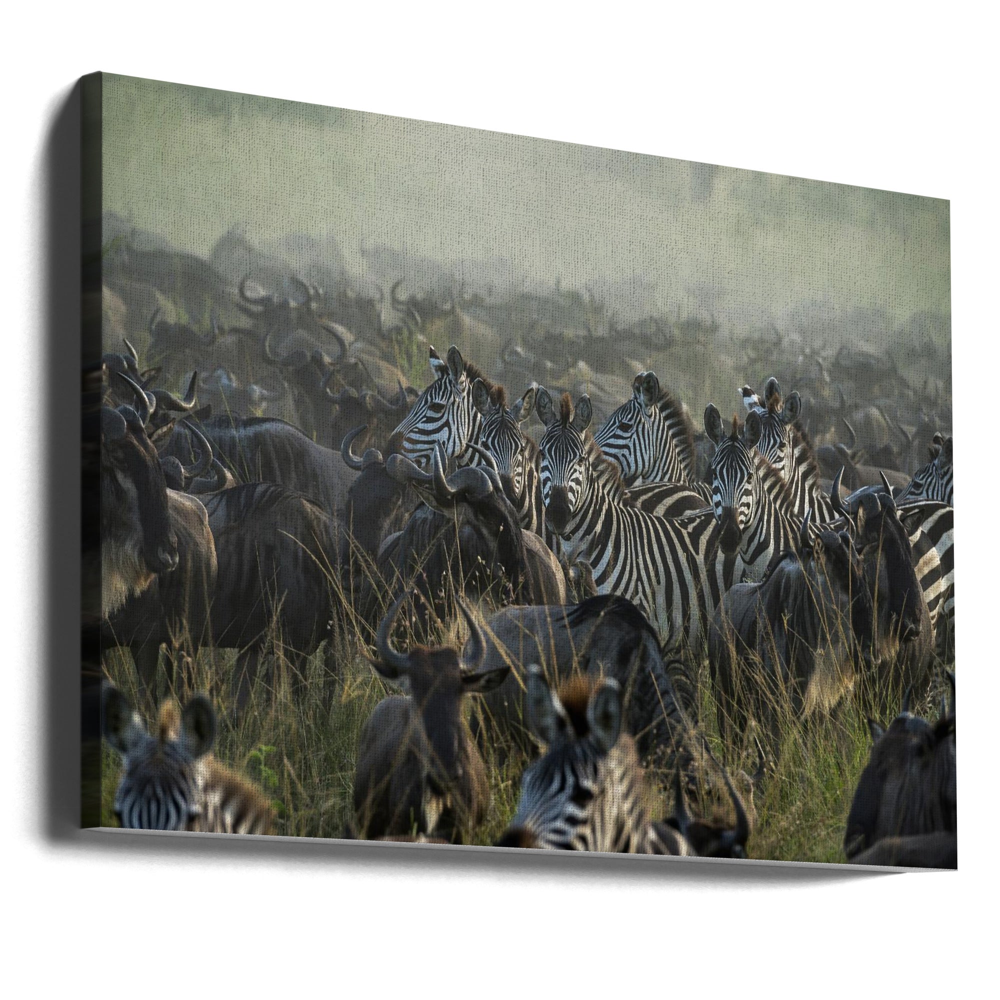 The Great migration by Giuseppe DAmico