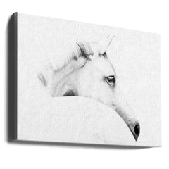 horse and minimalism by Ulrike Leinemann