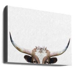 Peeking Longhorn Cow by Kathrin Pienaar