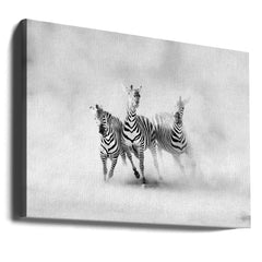 ZEBRAS by Juan Luis Duran