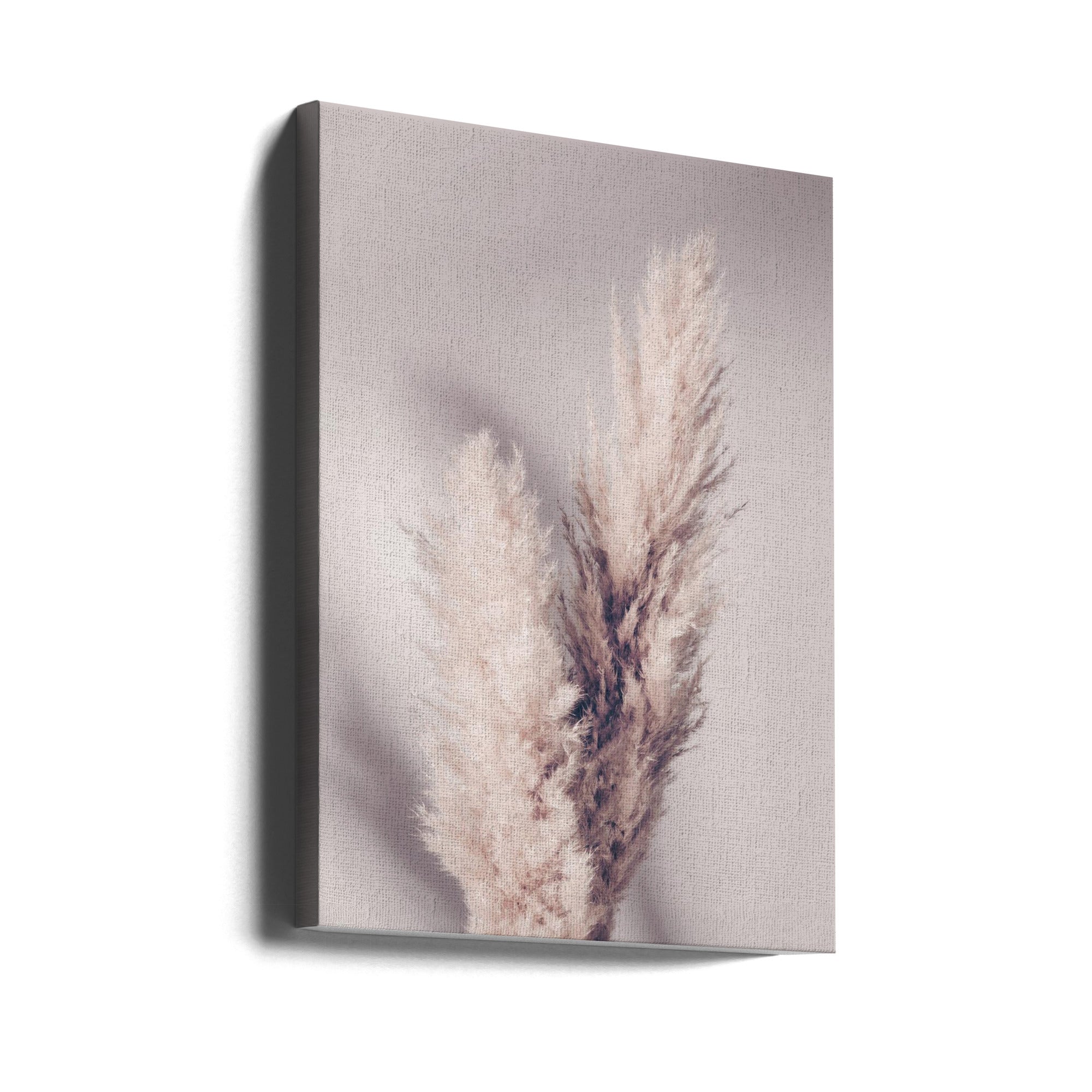 Pampas Grass by Pictufy Studio III