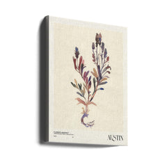 Watercolor print collection. Flower market - Austin by NKTN