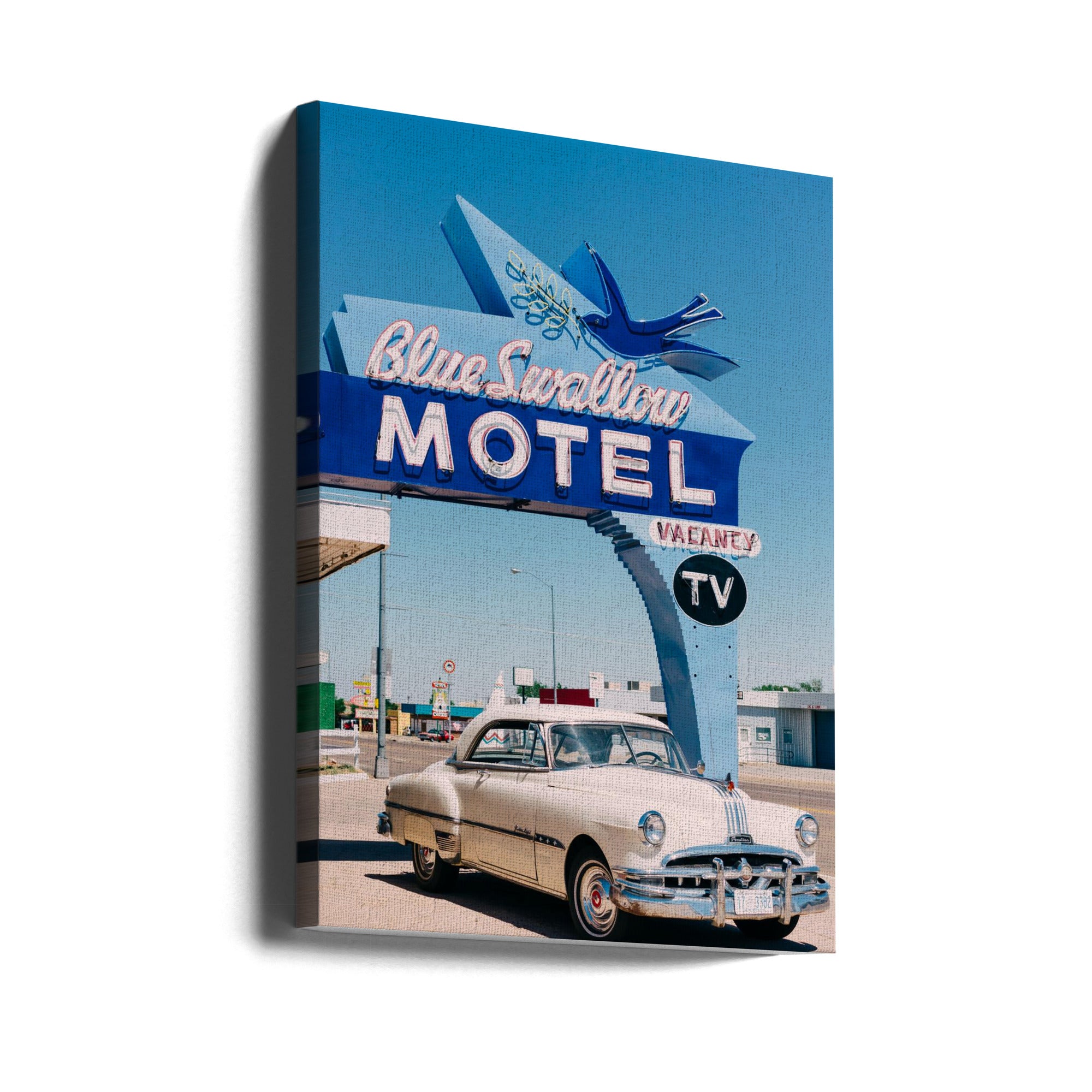 Blue Swallow Motel by Bethany Young