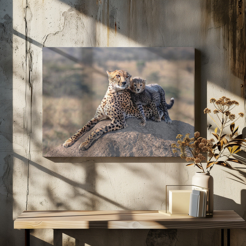 Cheetah and cup! by Jie Fischer