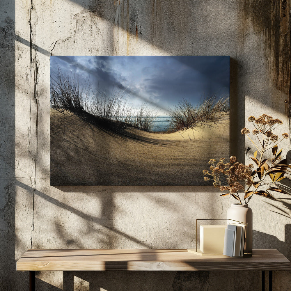 Dunes........... by Wim Schuurmans