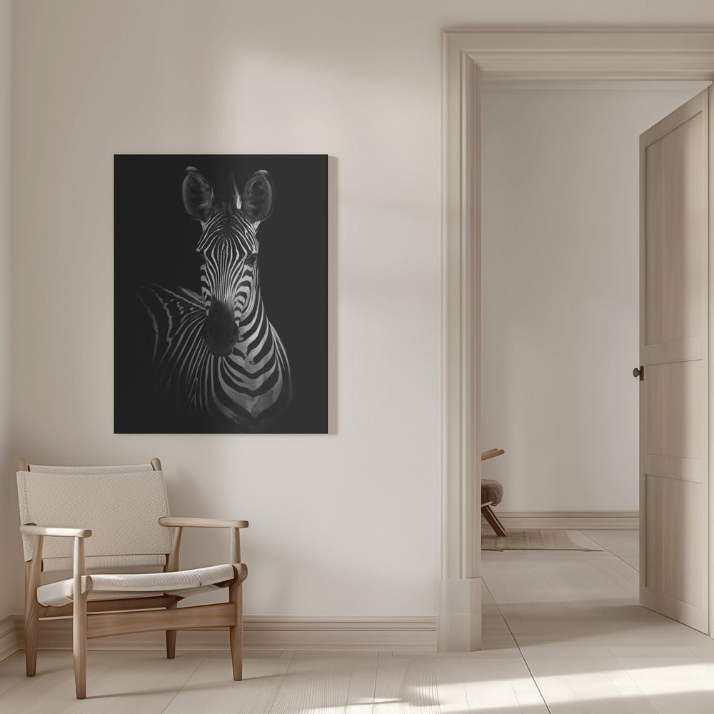 The Zebra by WildPhotoArt