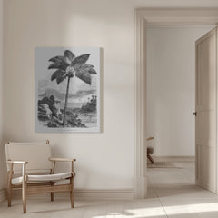 Vintage Palm Tree Drawing I by Les Palmiers Histoire Iconographique