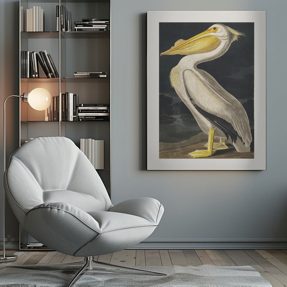 American White Pelican From Birds of America (1827) by John James Audubon