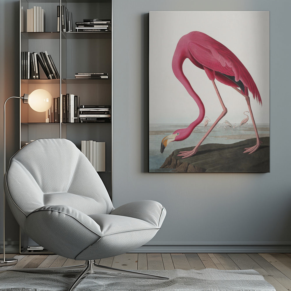 Pink Flamingo Ii From Birds of America (1827) by John James Audubon